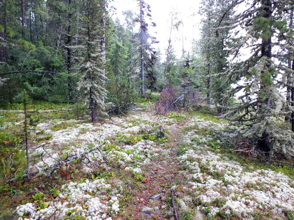 ��������� ��� ������� ����