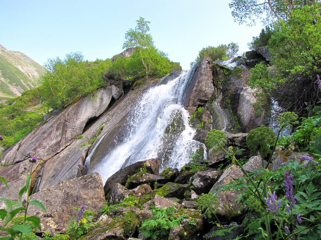 ������� �� ���� ��������