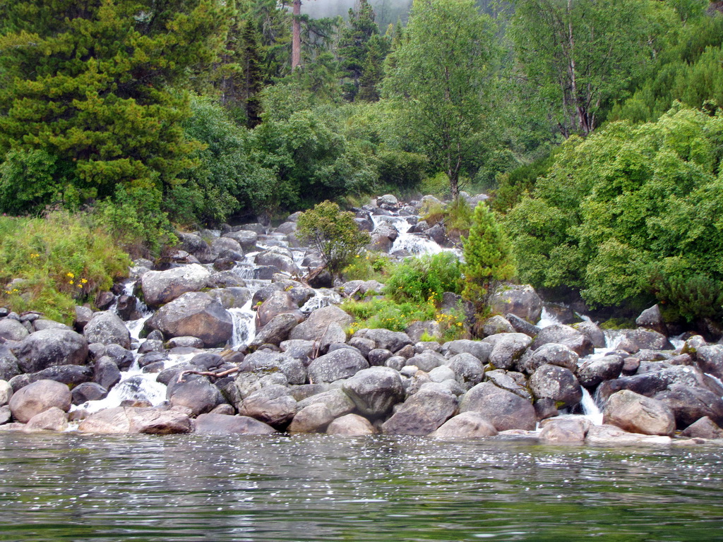 �������� ���� ��������� � ������