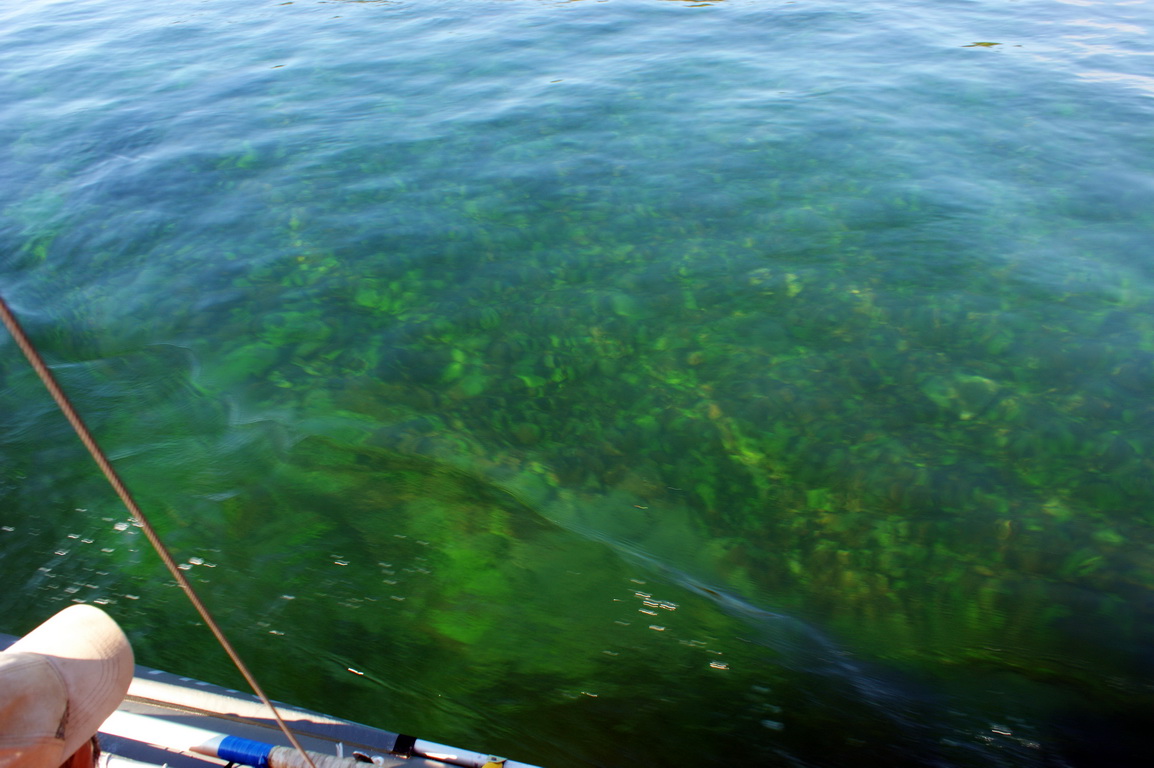 ��� ������ � ������ ������