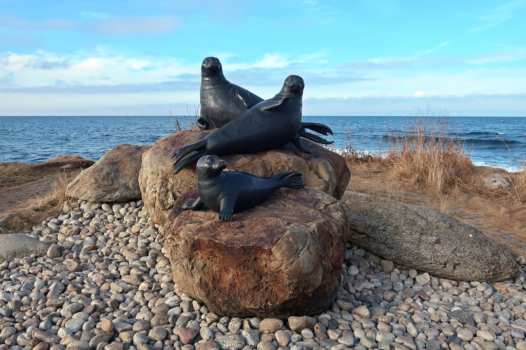 ����� �� ������ �������, ����� ��.������