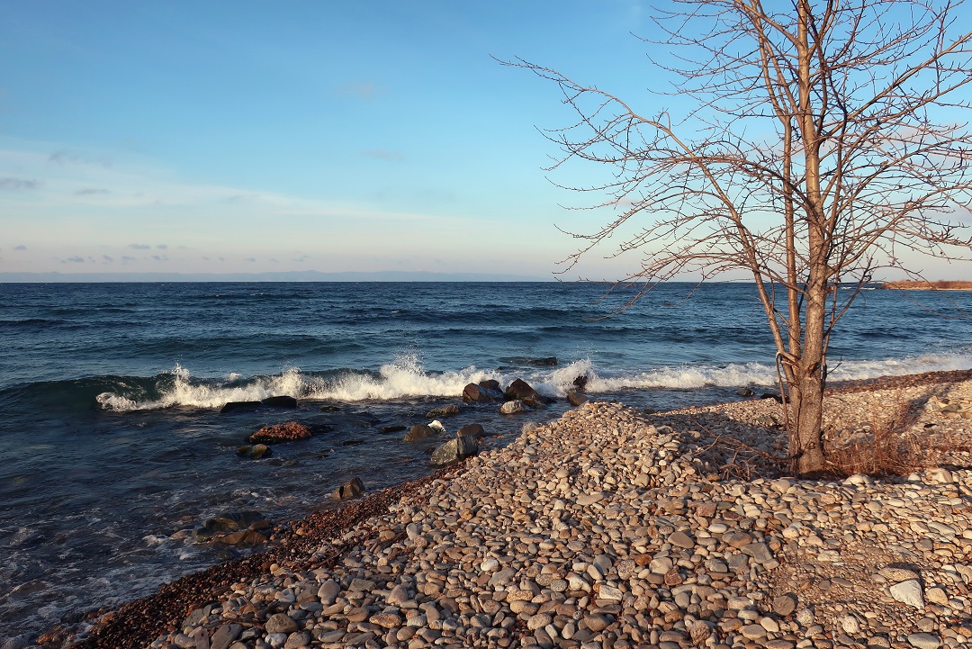 ����� �������