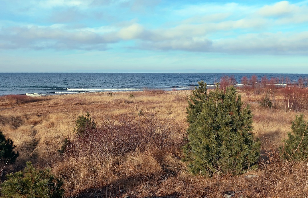 ��� �� ������ � ����� "���������� ������"