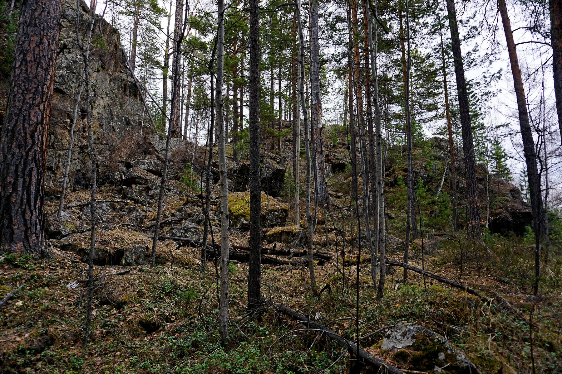 Скалы "Уксуса"