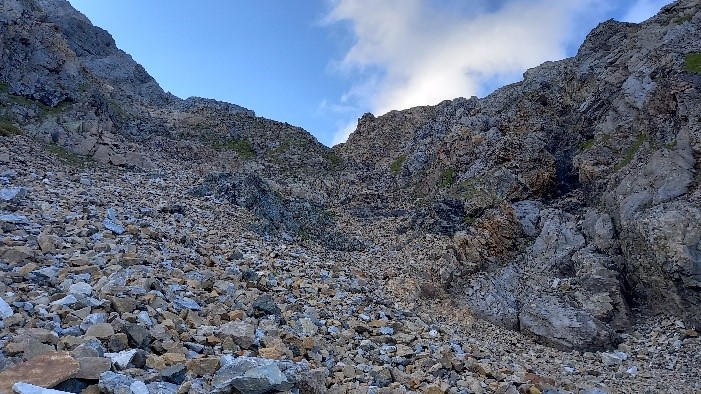 ������ ���� �� ������� �������