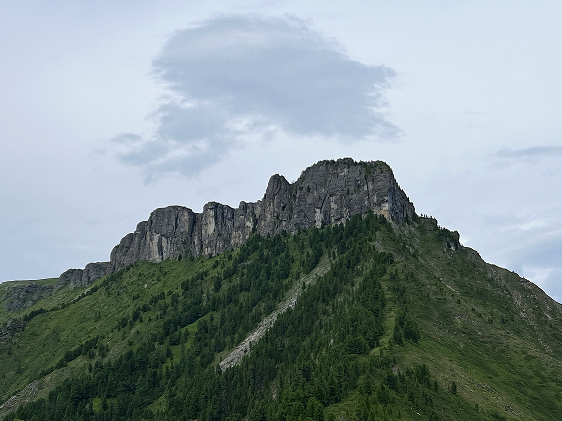 �����������: ������� ���� �����