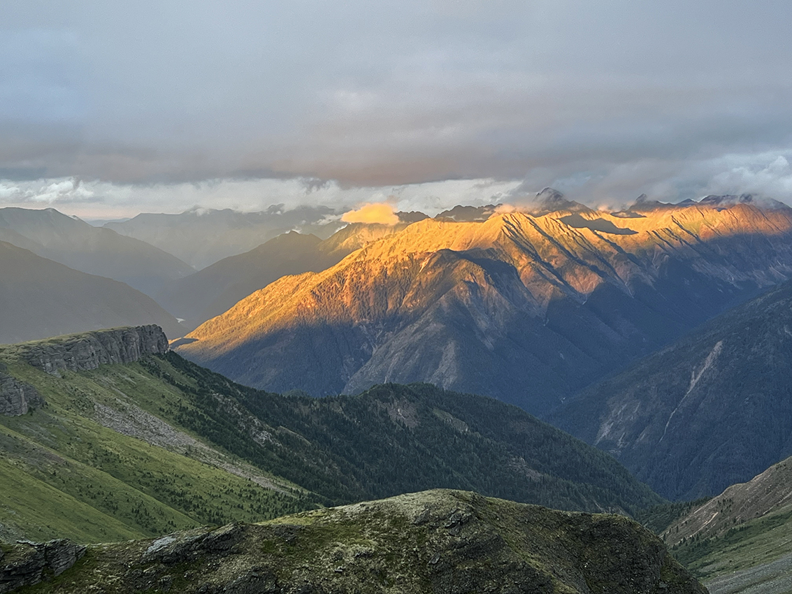 ������� ��� ��������