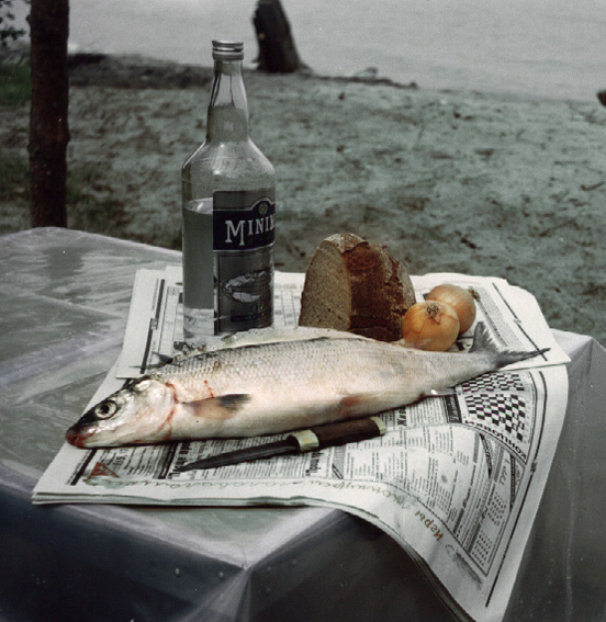 ���������� ���������