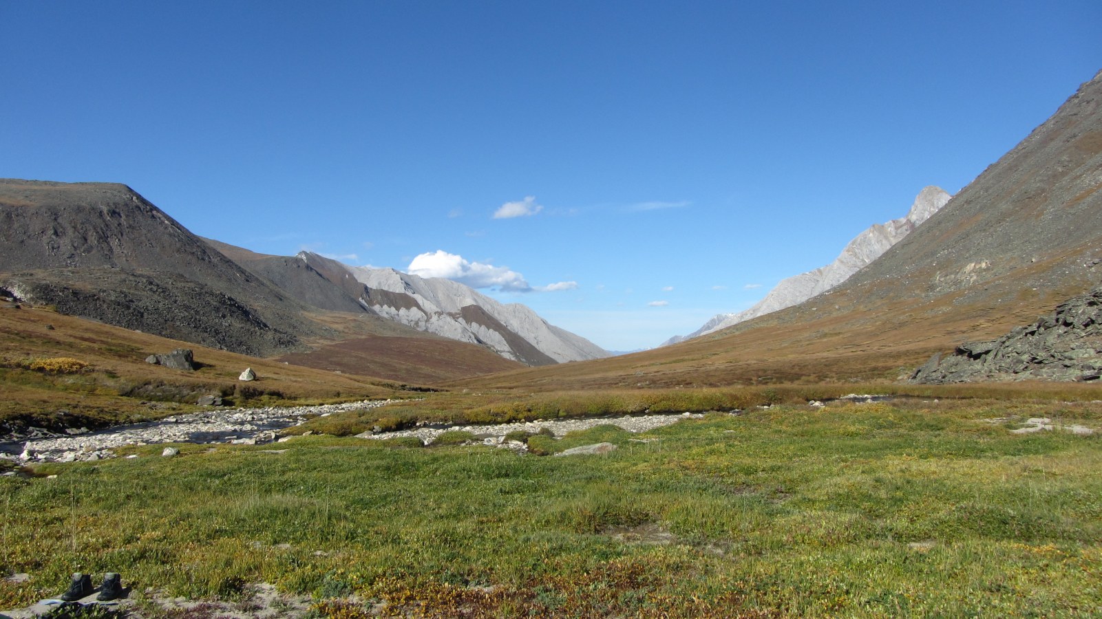 �������� ���-����. ��� ���� �� ������