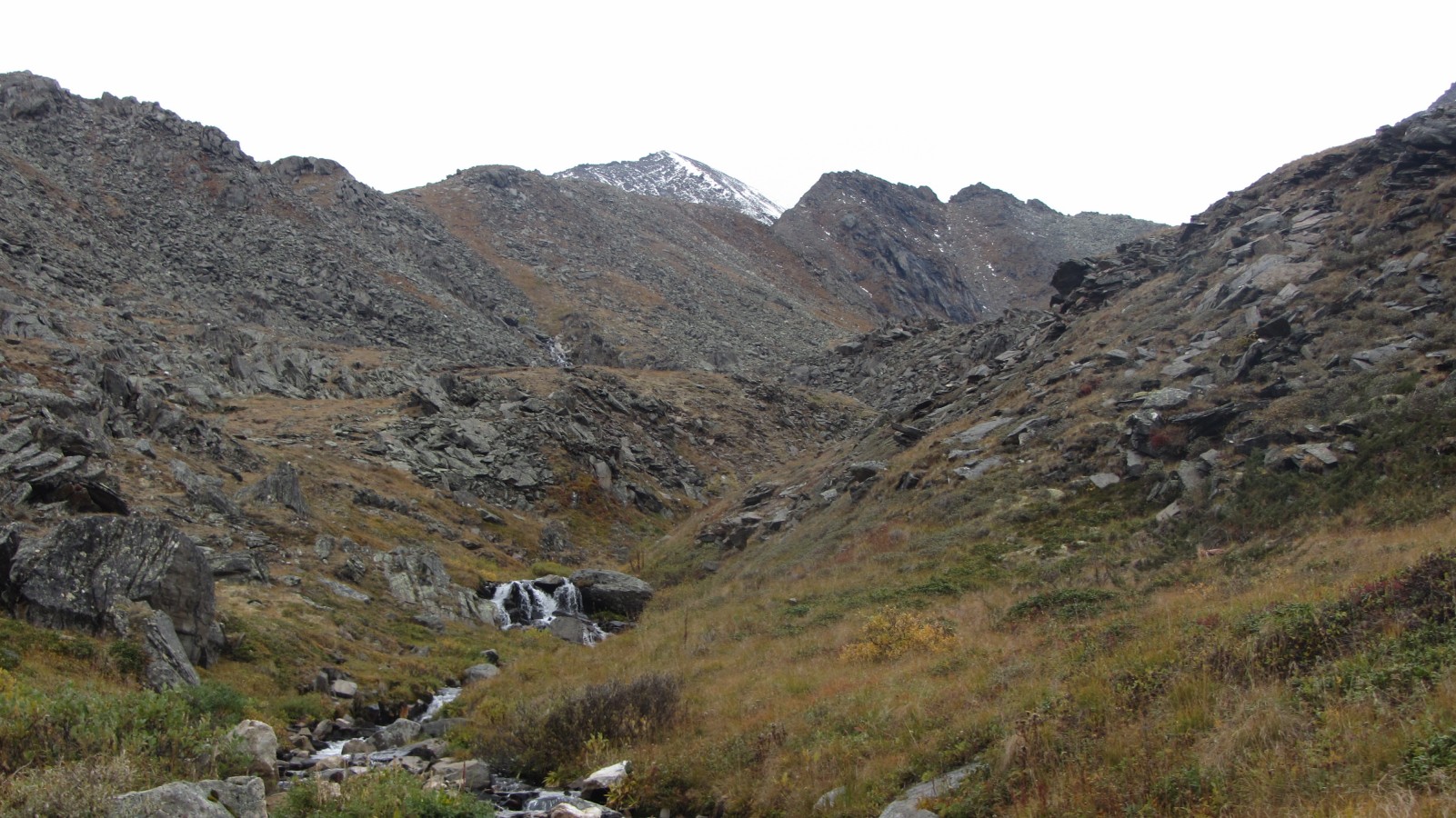 �������� ��������� ���