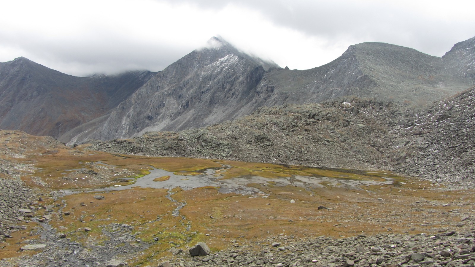 ������������ ����� ���� ����� - ������ ���-����