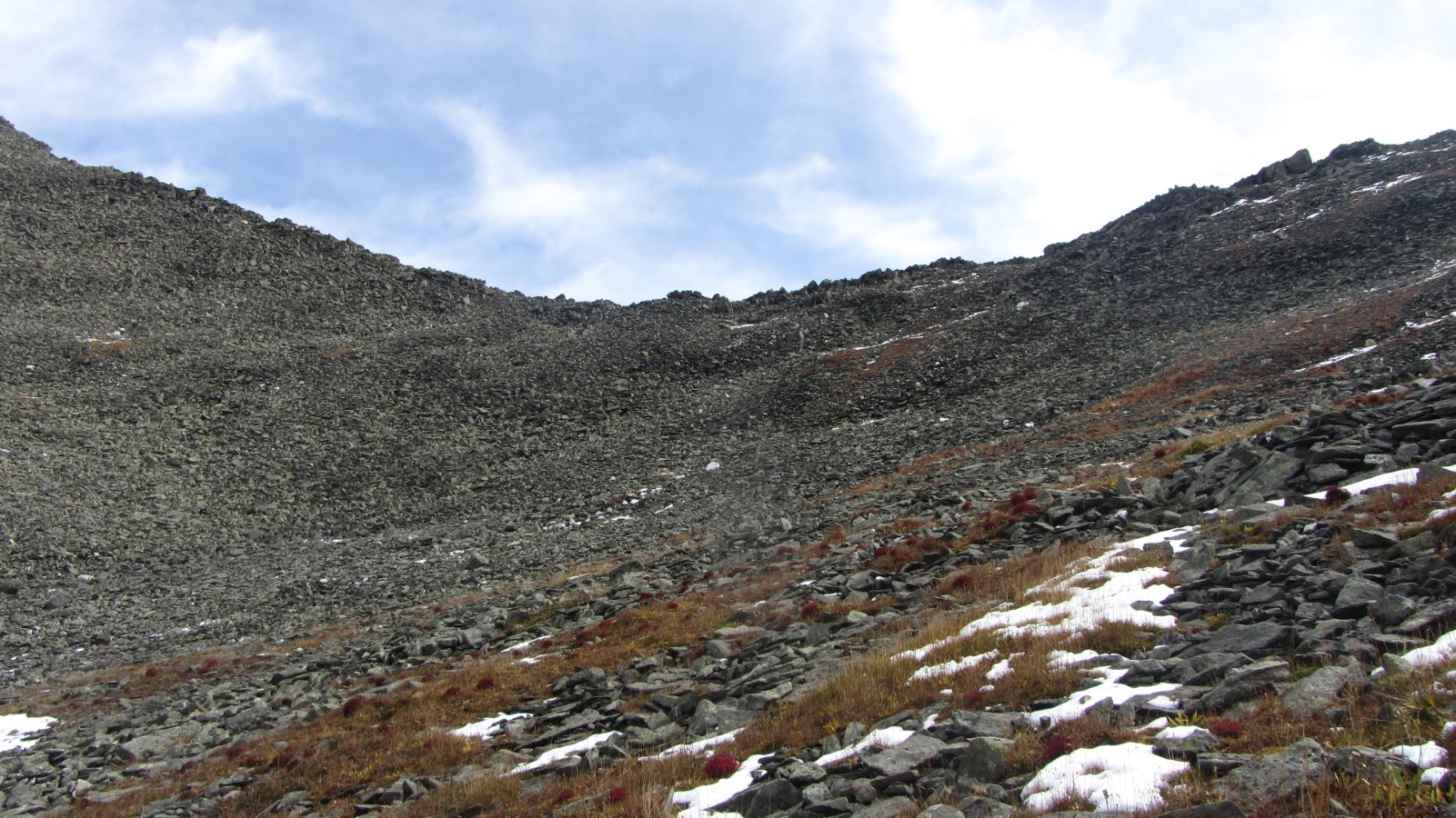 ����� ���. ��������� �� ������� ���-����