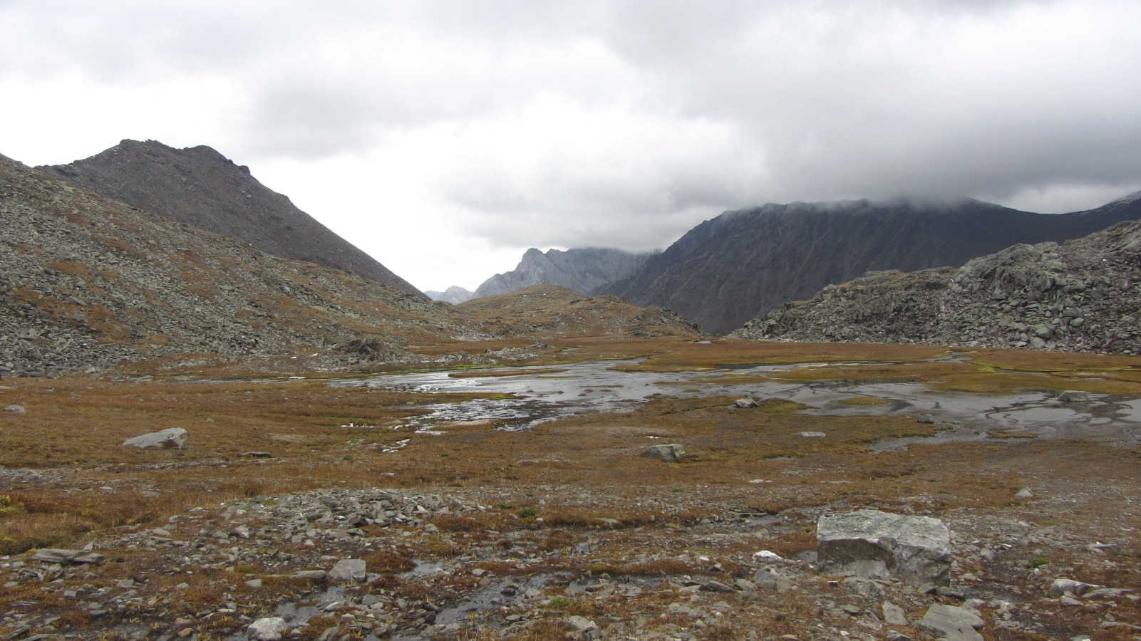 ������������ ����� �� ������� � ���. ���������