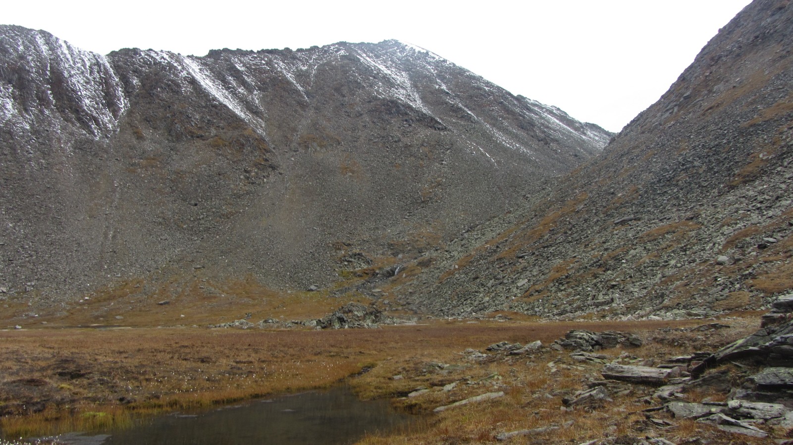 ������������ ����� ���� ����� - ������ ���-����