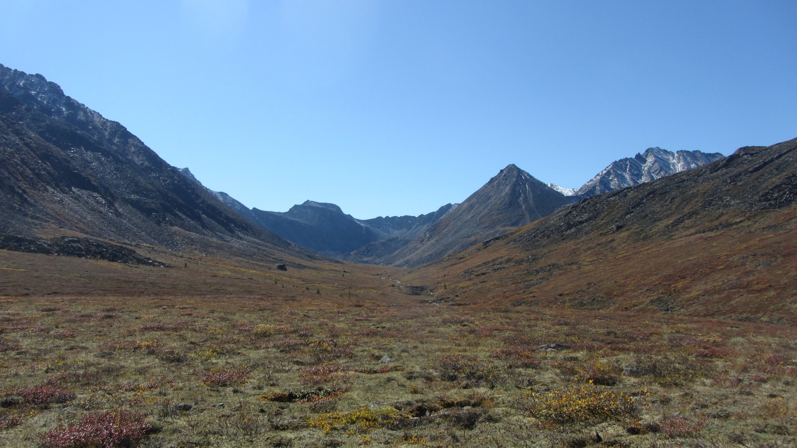 �������� ���-���� �� ���� ����� �����. ������������ ���