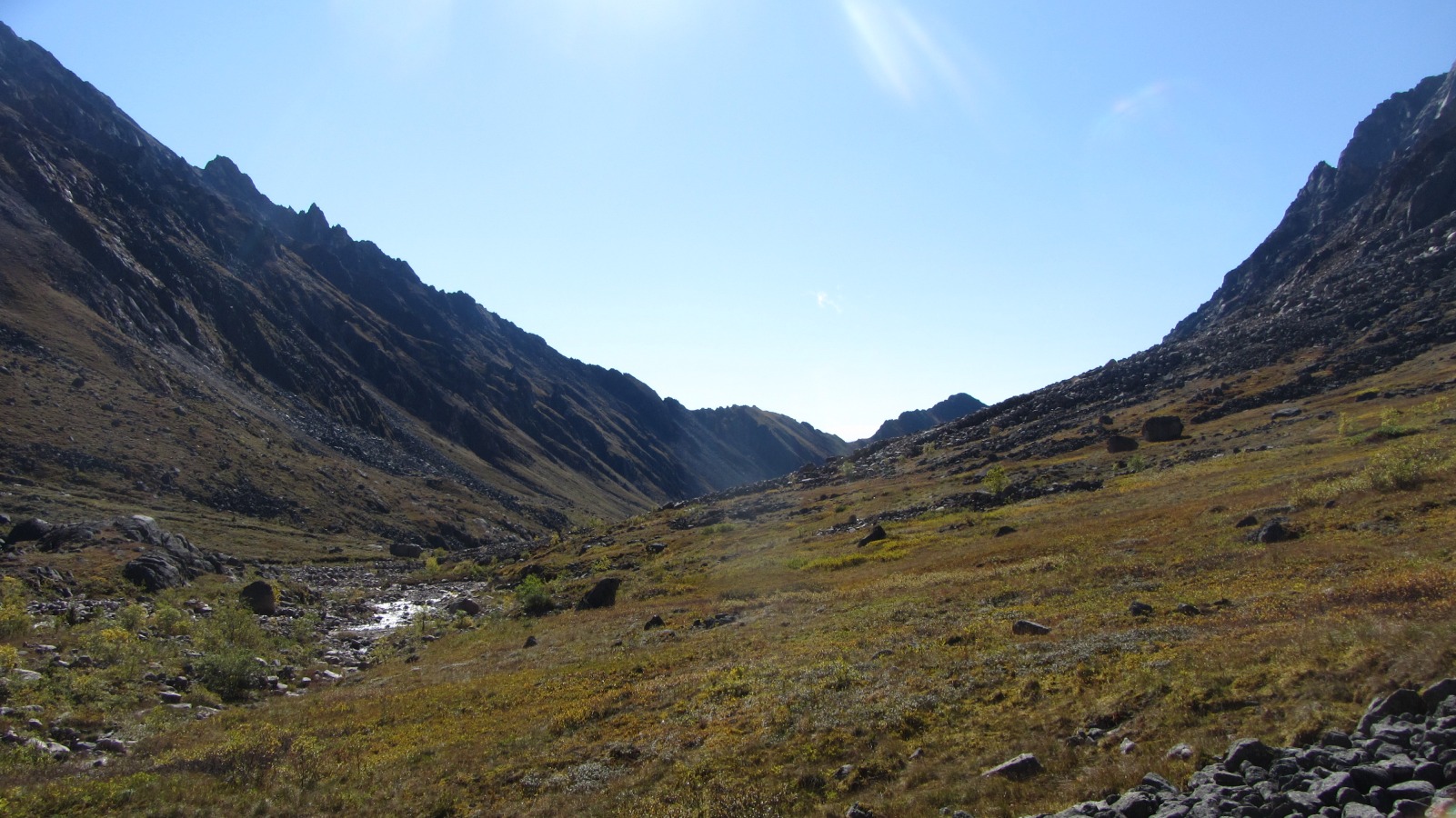 ��������� ���� ������� ���