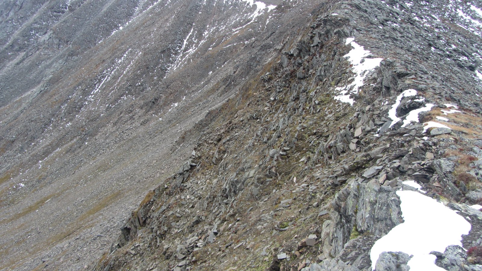 ������� ����� ������ � ���. ���-����������