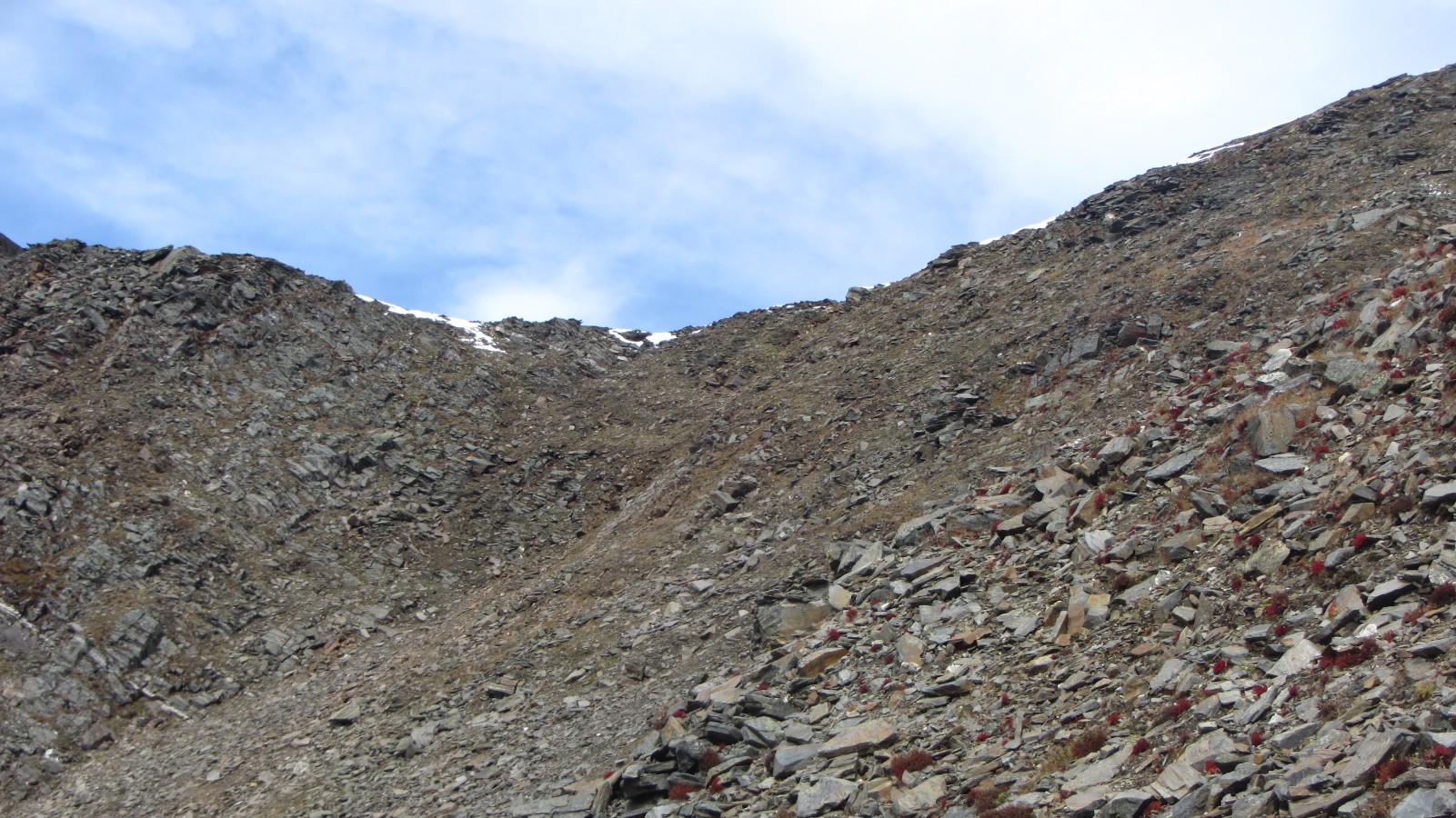 ������� ����� ���. ���-����������