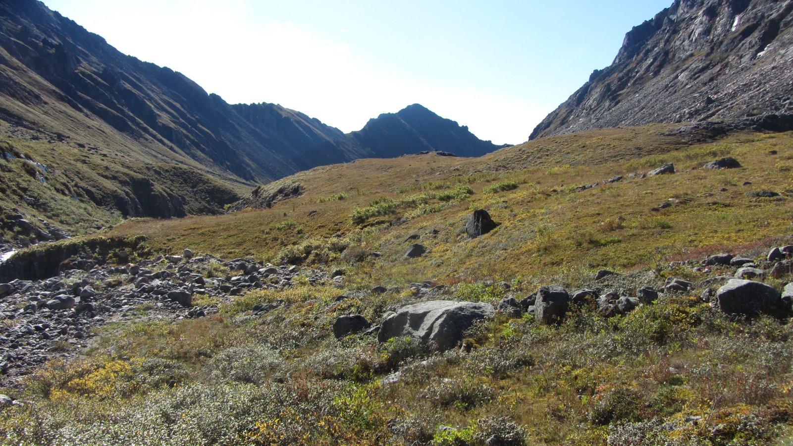 ���� ���� ����� ������ �������