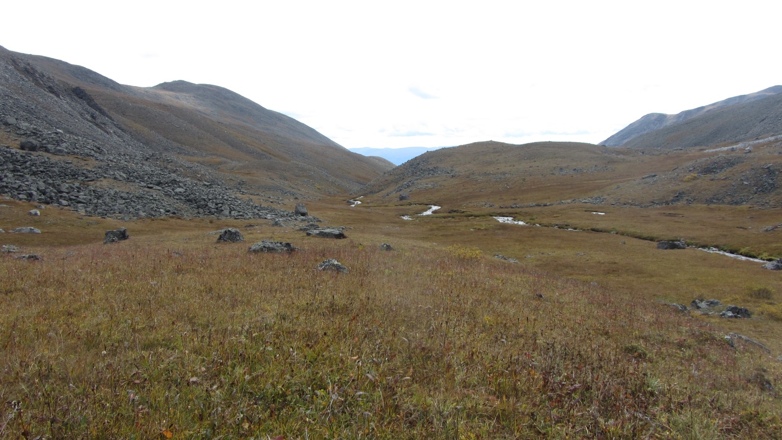 ���� �� ������ ���-������