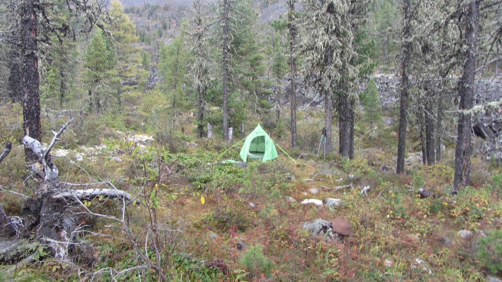 ����� ������� �������