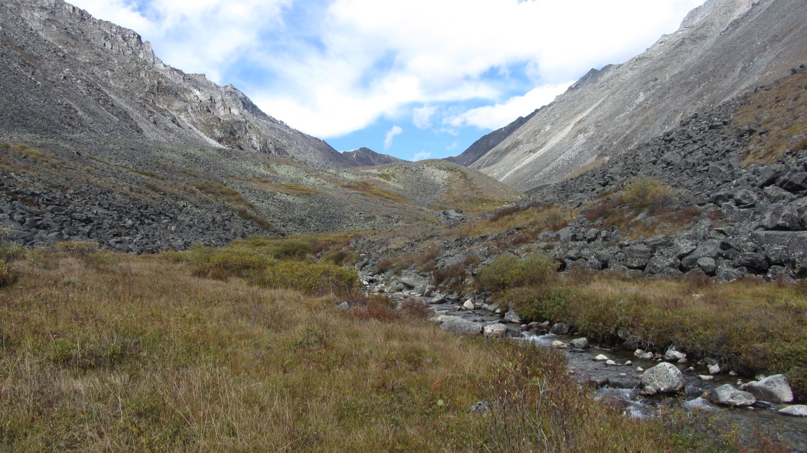 ������ ���-������ � ������� �������. ��� �����