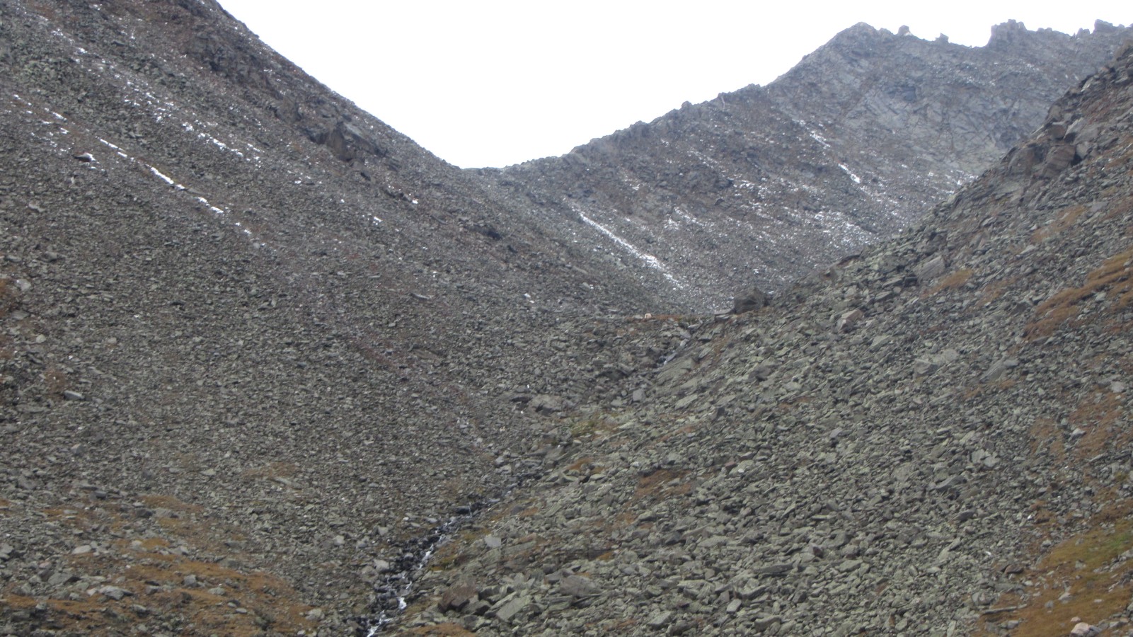 ����������� ������� � ���. ���������. ������ �����