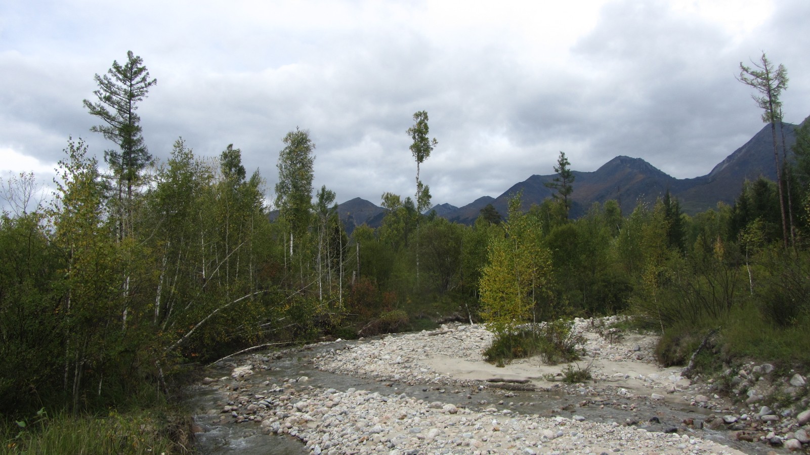 � ����� ����� ����� ����-���