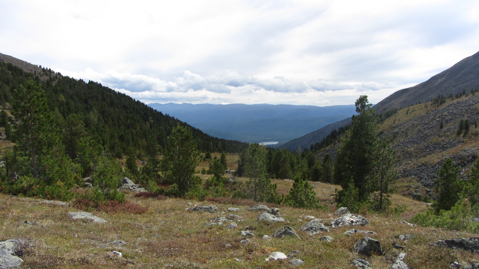 ���-������ �� ������� ���� ����