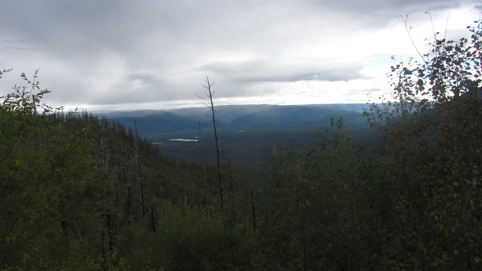 �� ����� ������� ������ ����� 1-�� ���