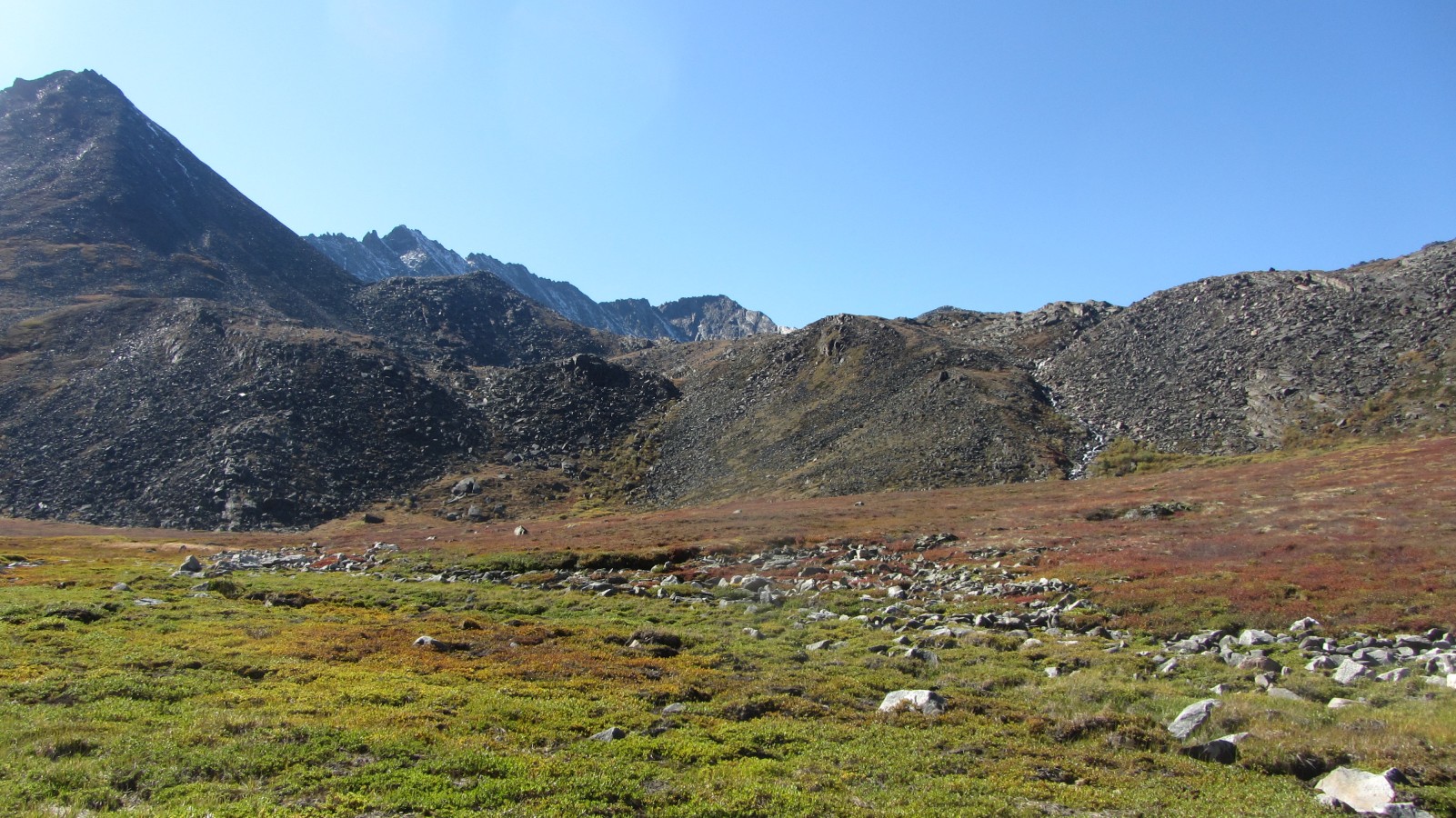 ������� �������