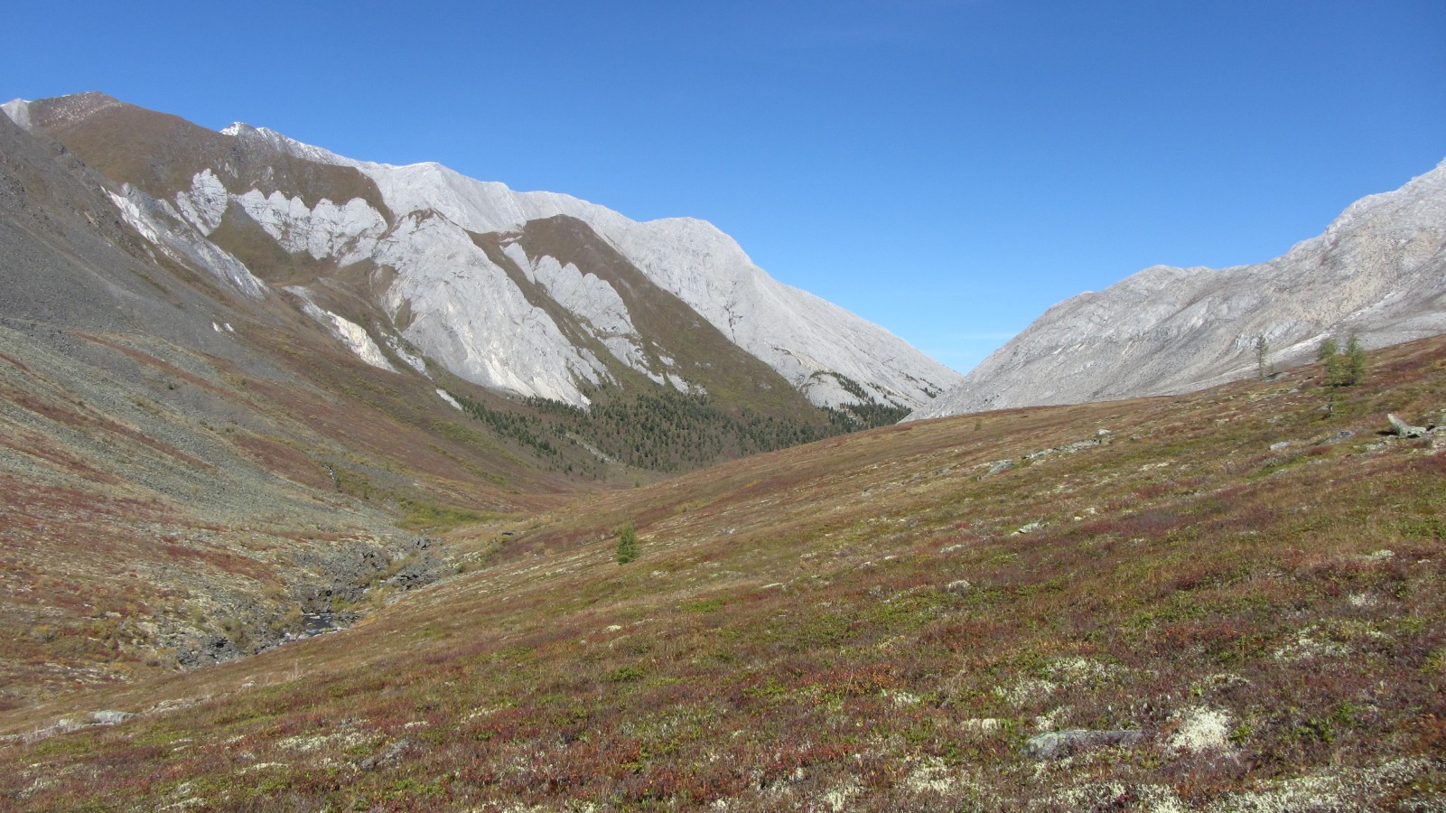 ��� ���� �� ������ ���-����