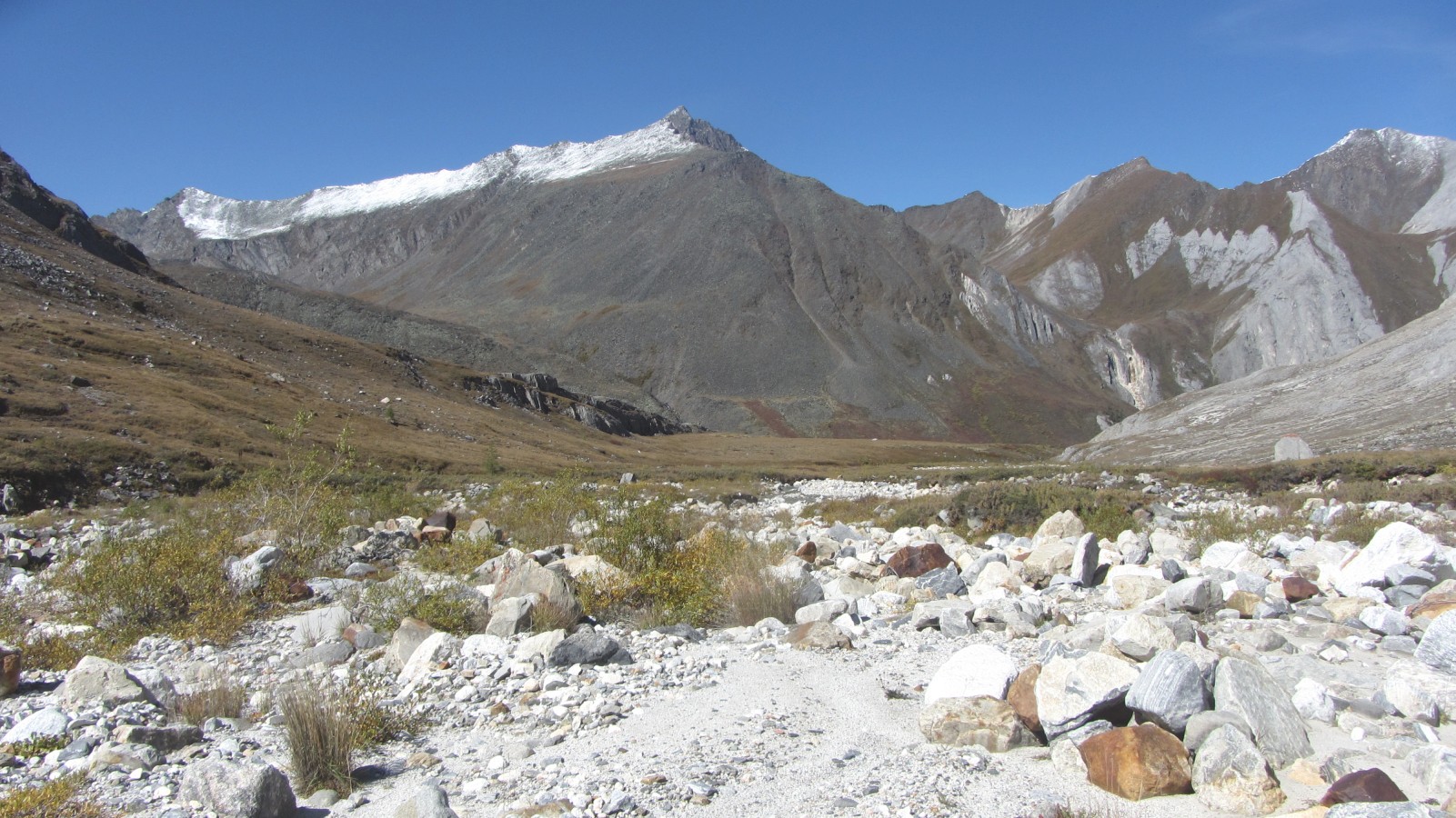 ����� � �������� ���������� ��������. ����� ��� ���������� ������� ����� ������