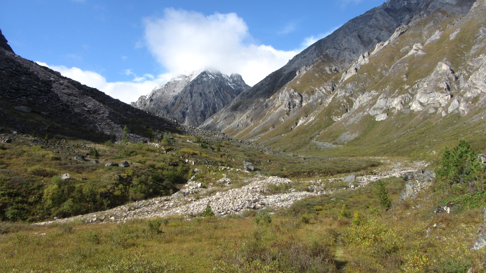 ��� ����� �������� ����� ������ ��� ����������� ����-��� �� ������ �� ���� ����