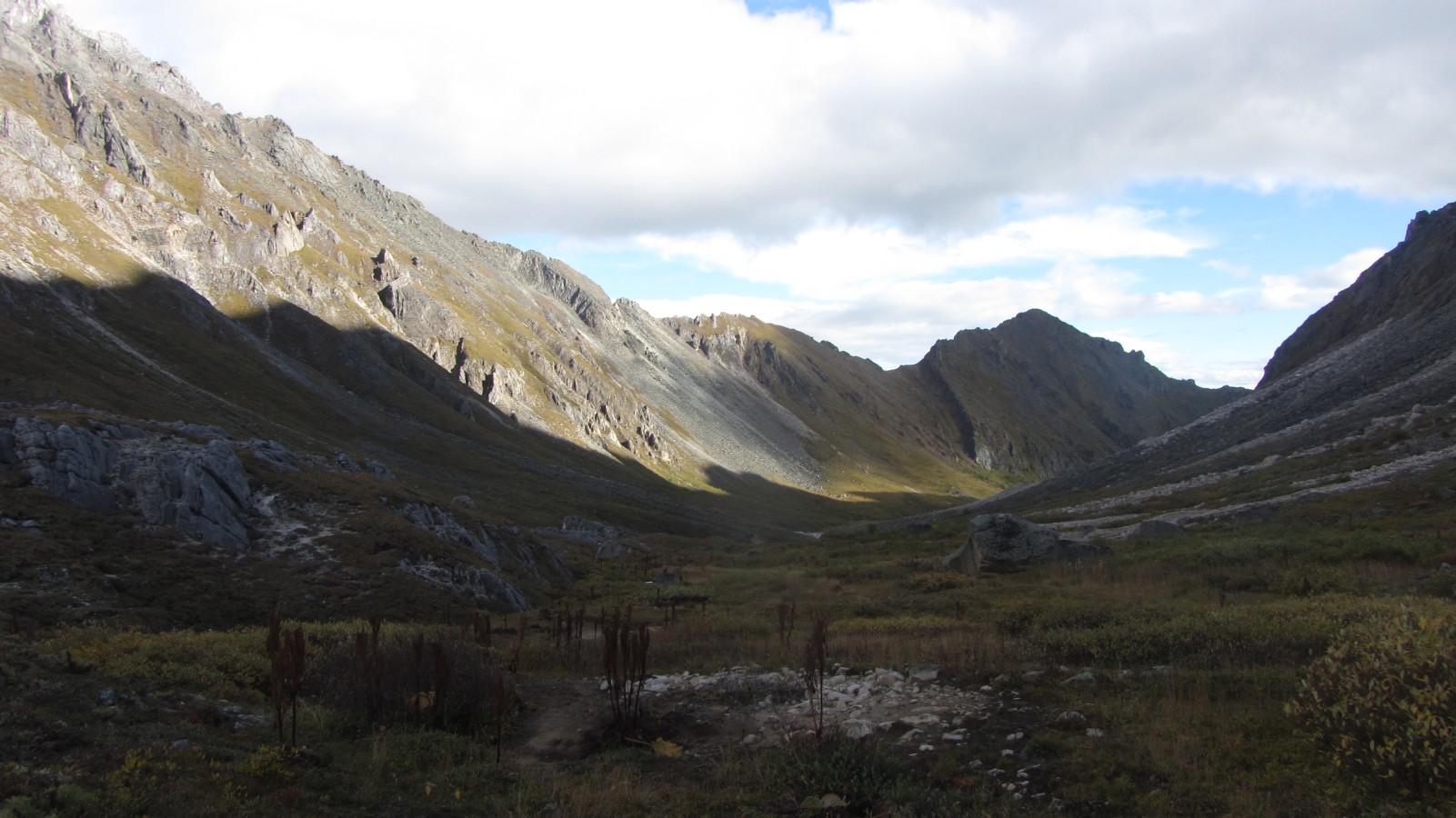 ����-��� � ������� ������� � �������� ��������