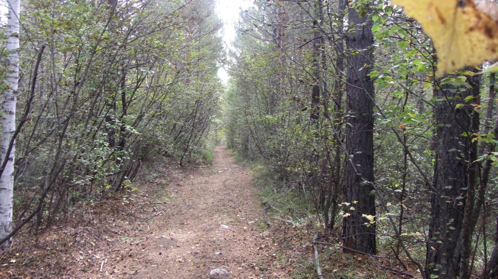 �� ������ ���������� ����� ����� ������ ��� �� ����� ������ �������