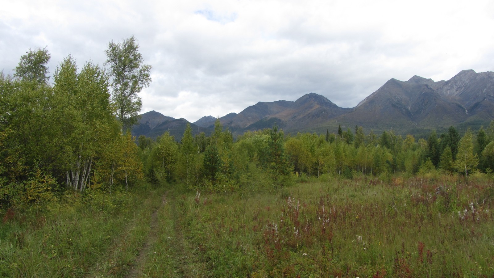 � ����� � ��� �� ����� ������� ������� ��� ���� � ����