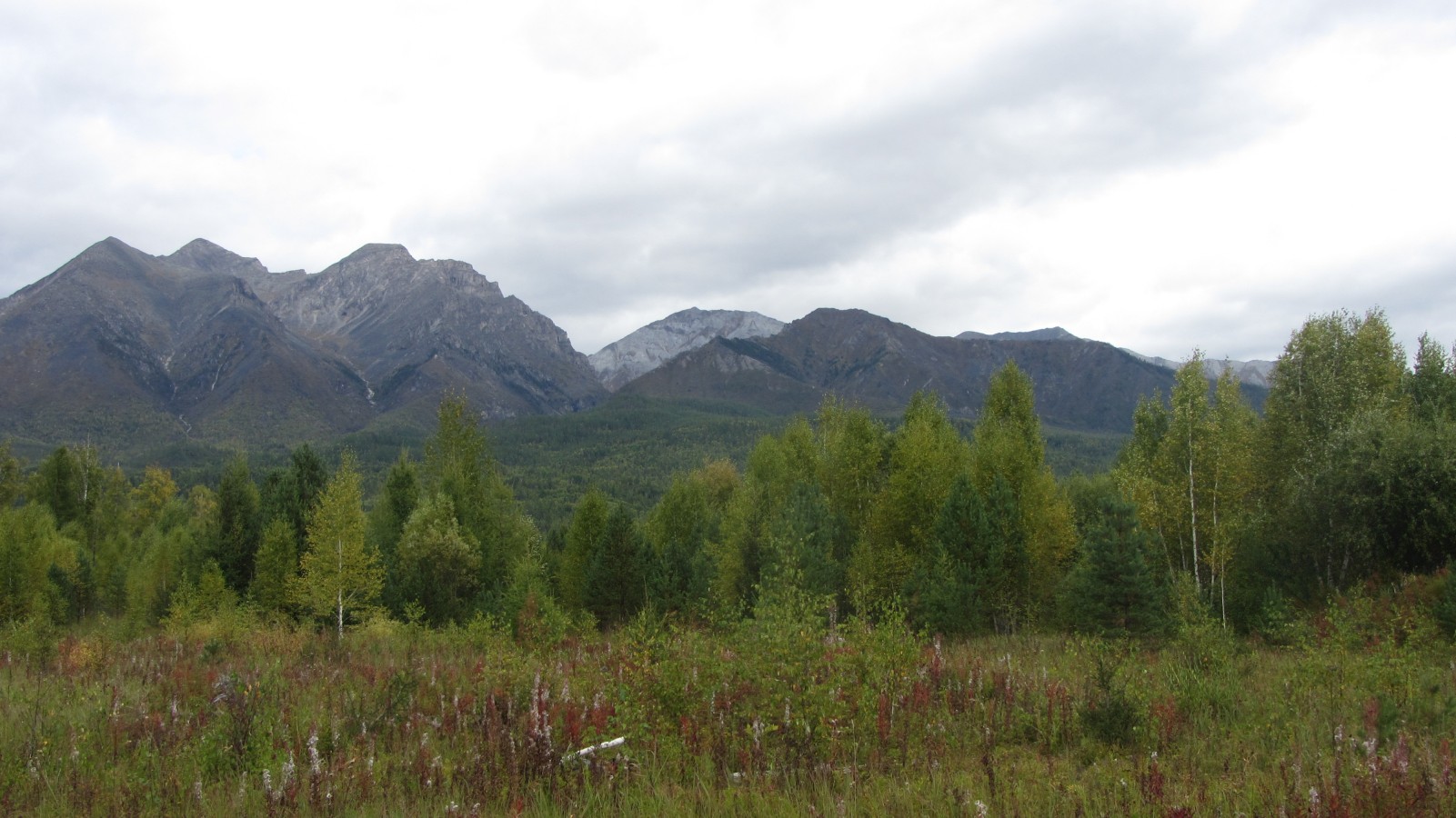 ������ ����-����. ������ ��������