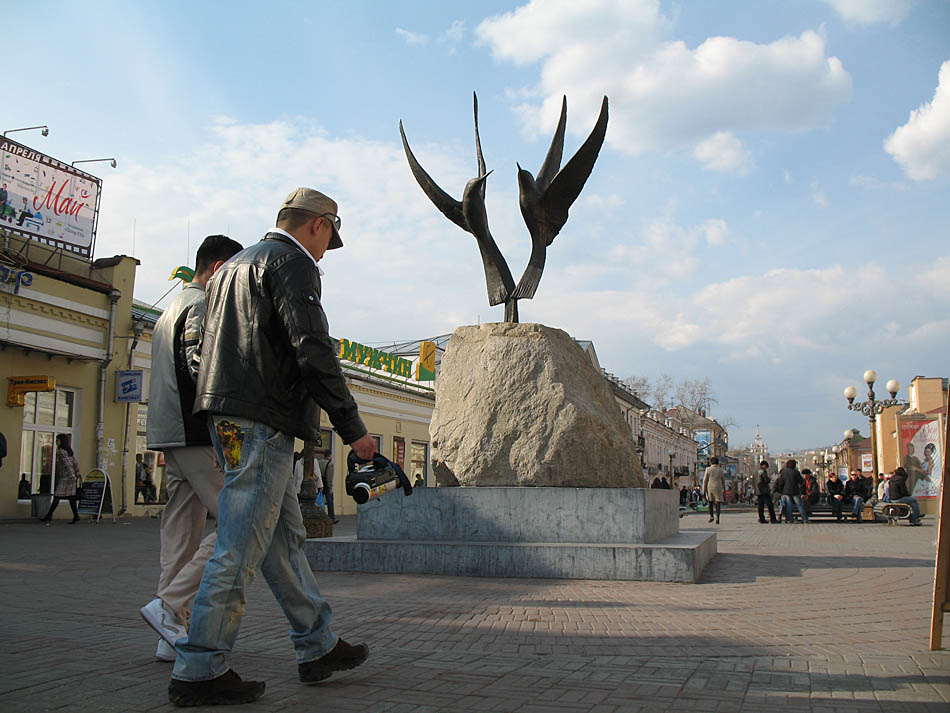 Арбатские виды. Птицы.