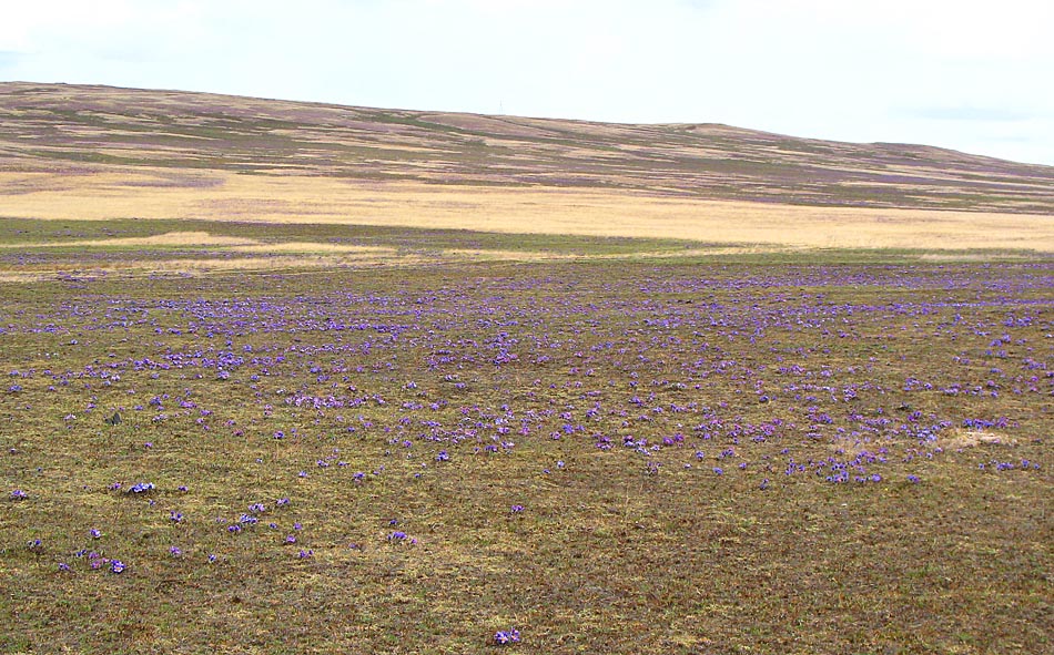 ��������� �����.