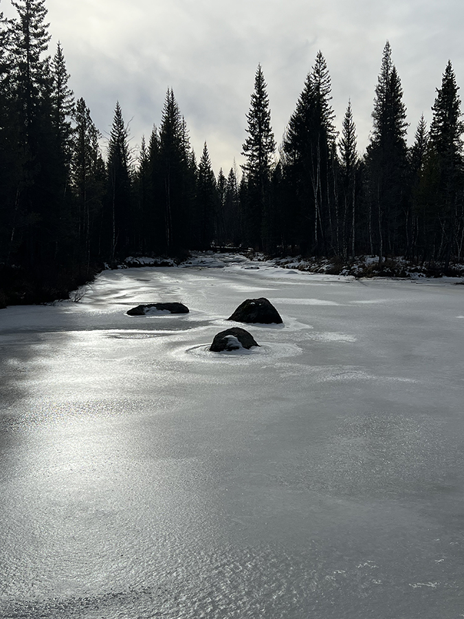 ����� ����