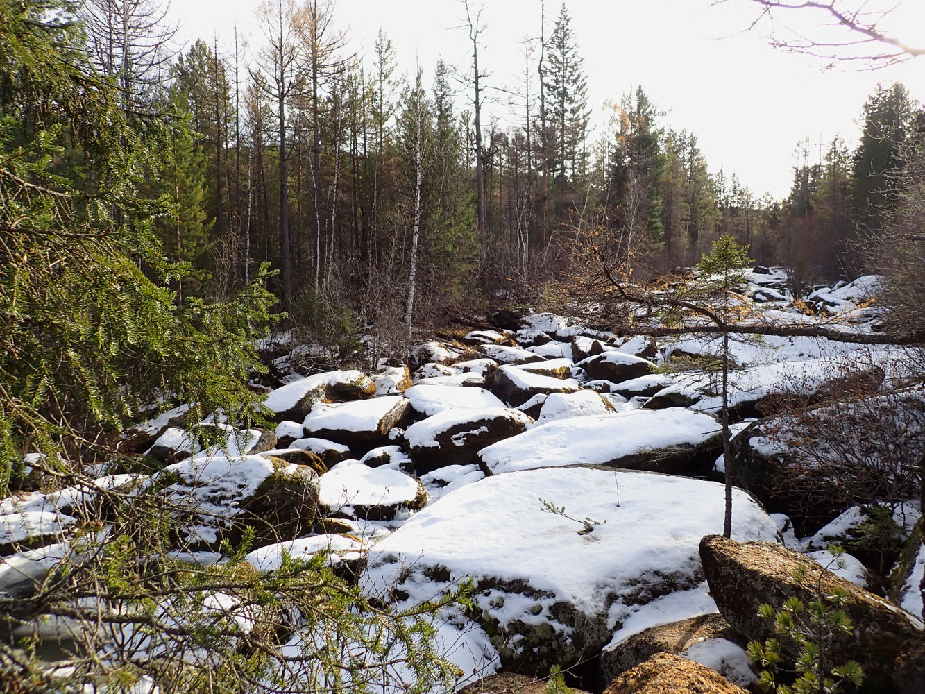 �������� �����