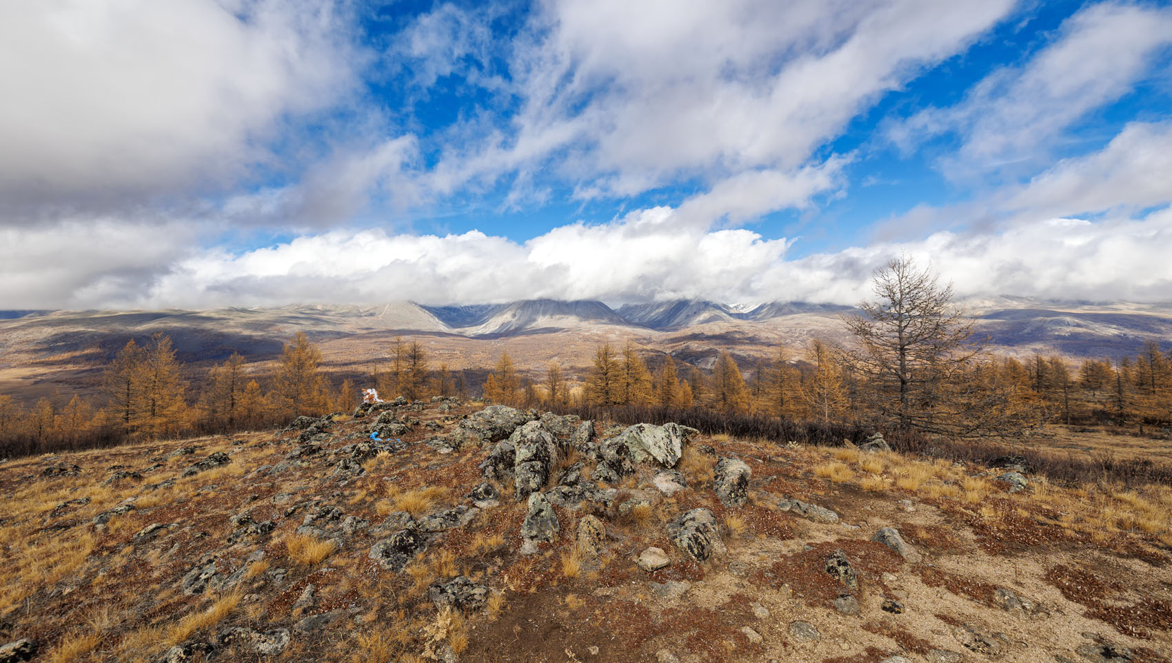 ��������� ����