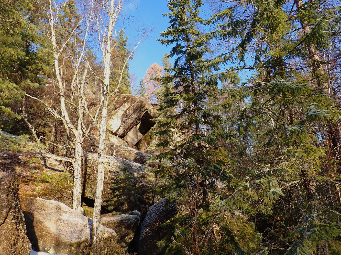 ���� �� ��� � ������-��������� ����� ��.�������