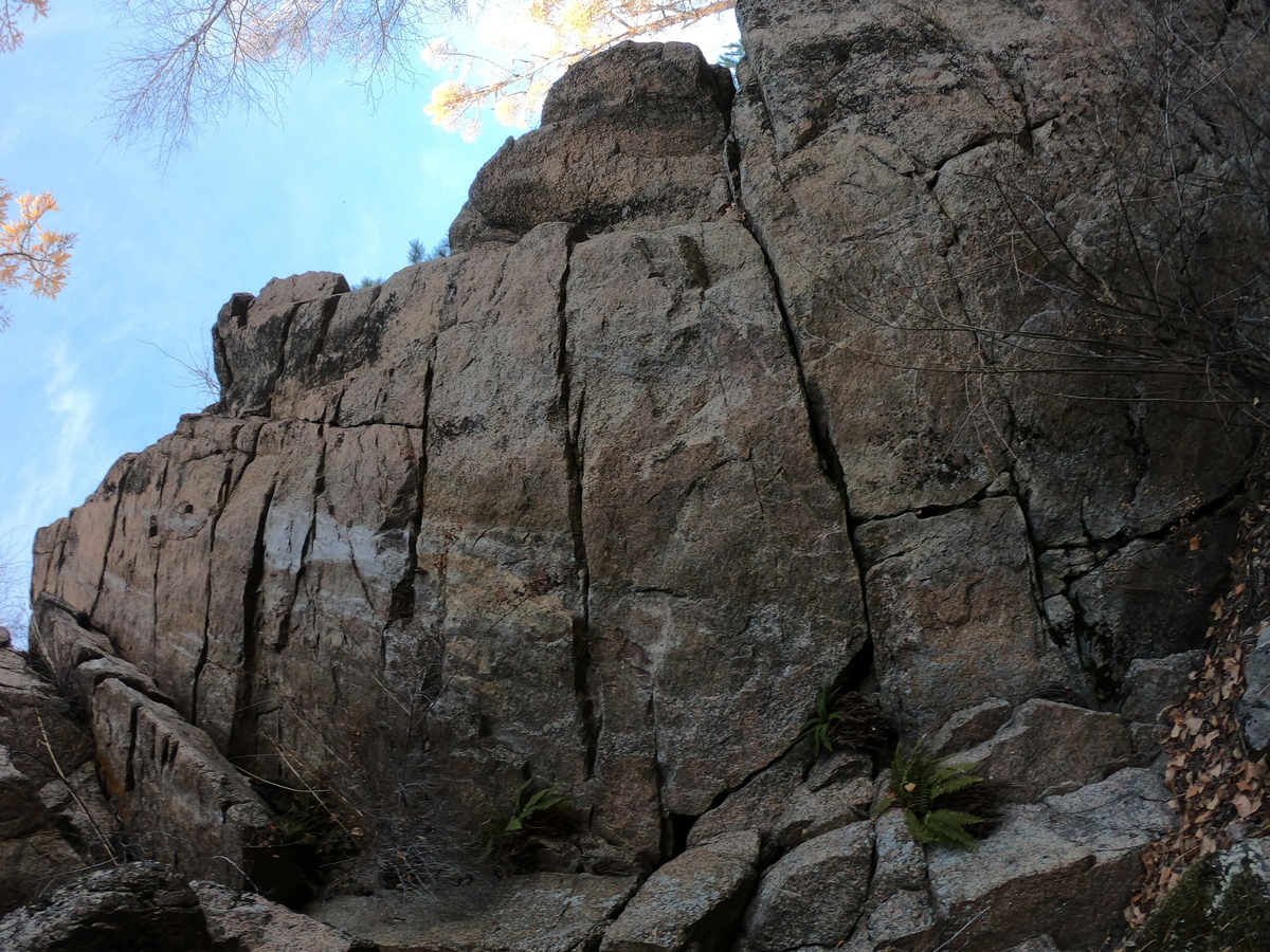 ����� �������� �����������