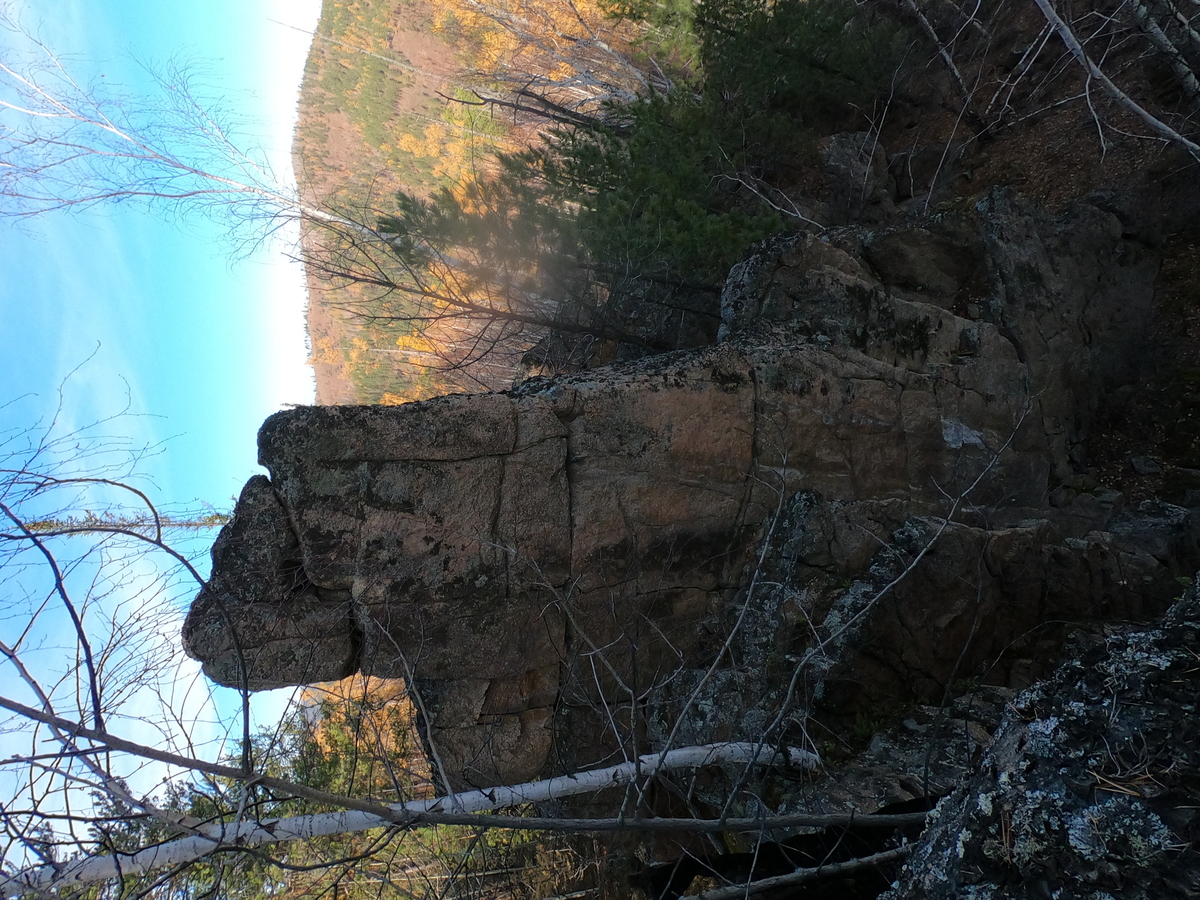 ����� �������� �����������