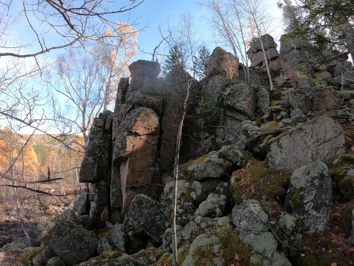 ����� �������� �����������