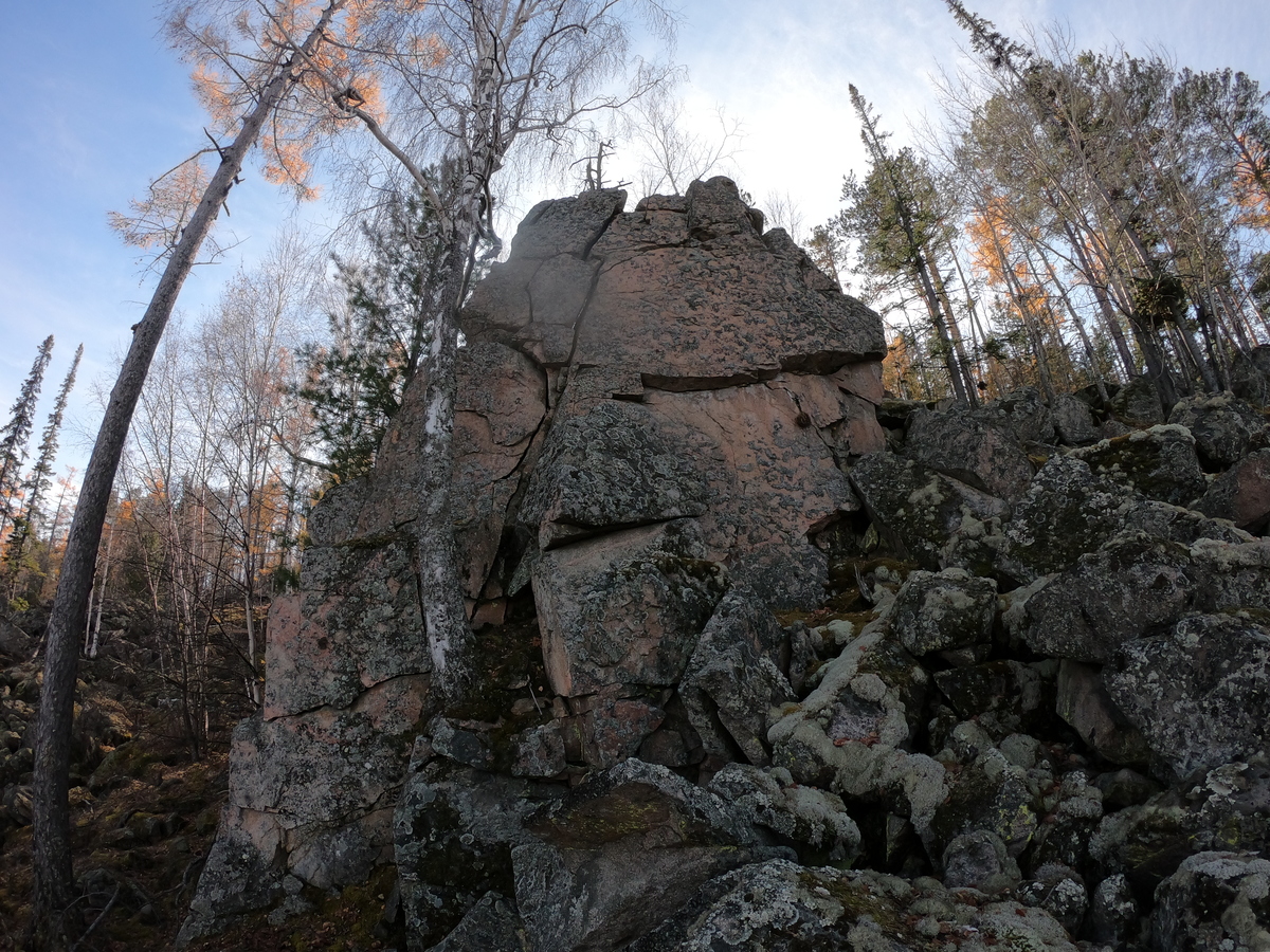 ����� �������� �����������