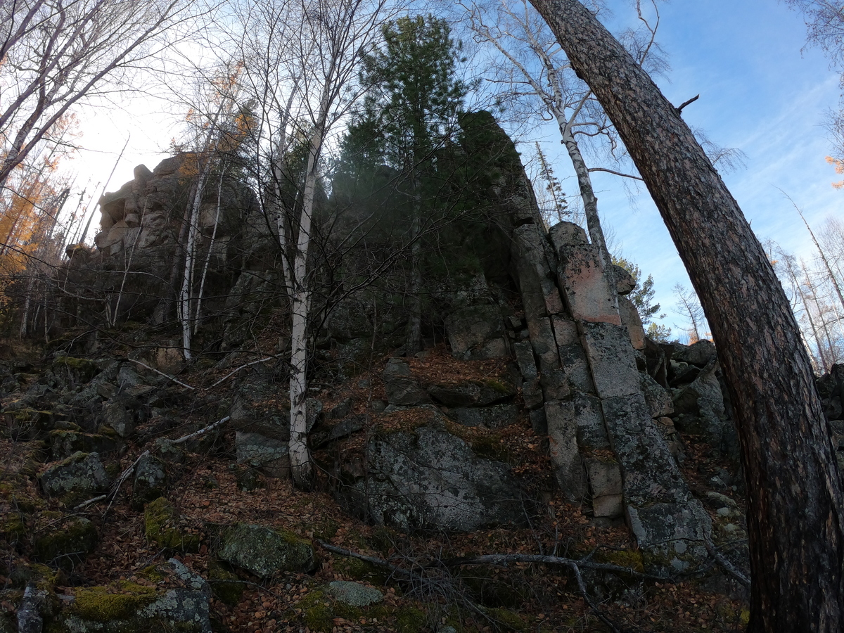 ����� �������� �����������