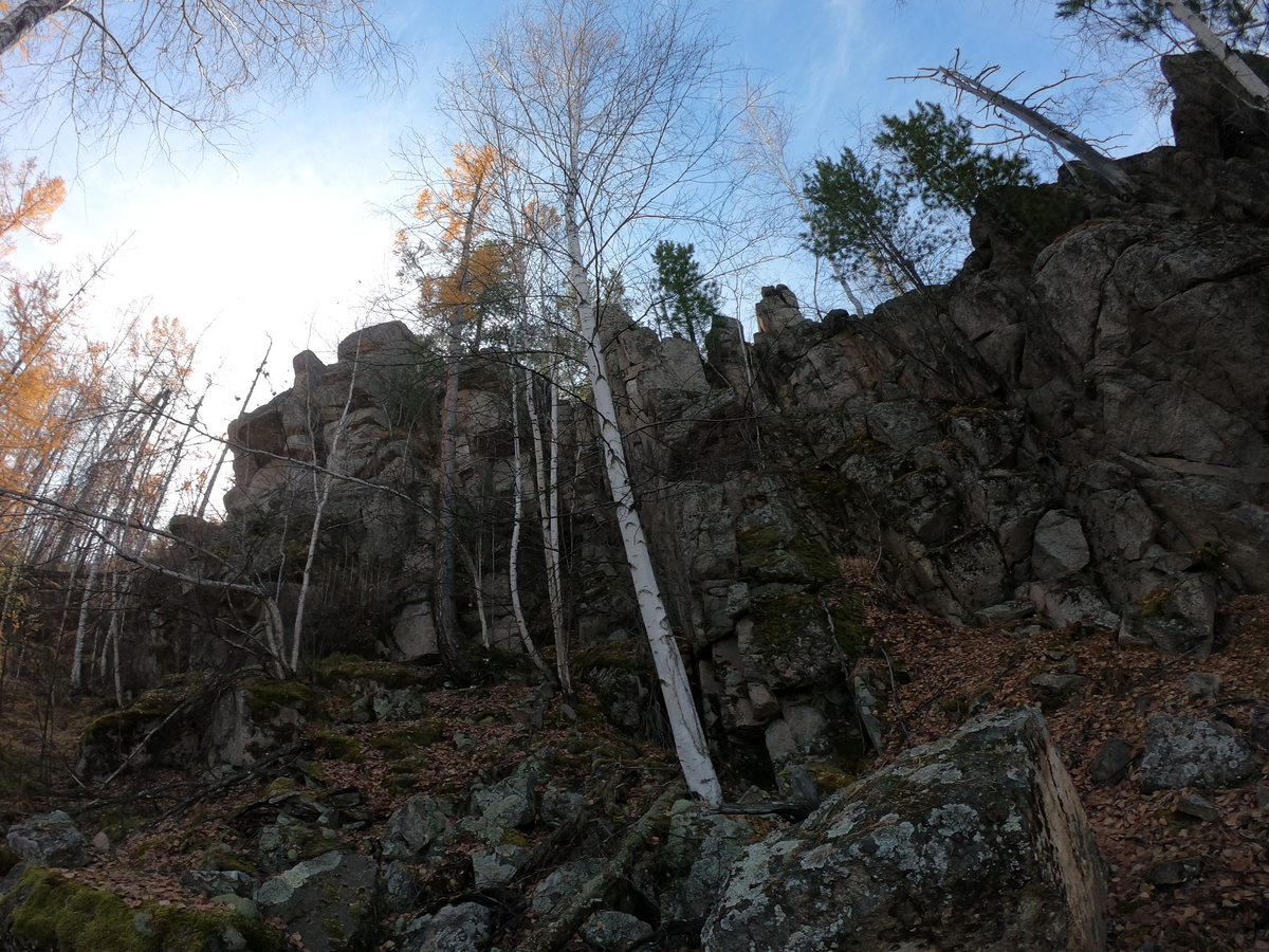 ����� �������� �����������